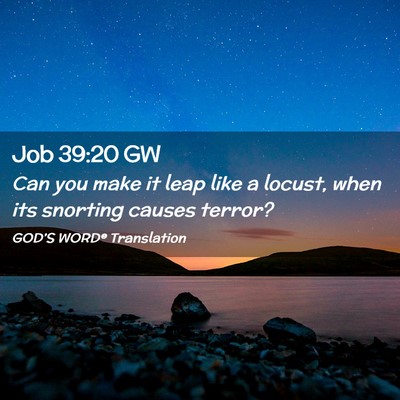 Picture 02 - Job 39:20 GW - Can you make it leap like a locust, when its - Bible Verse Picture