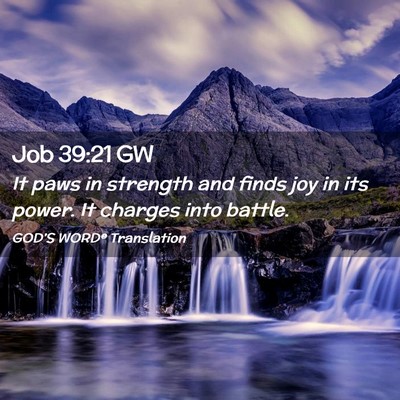 Picture 02 - Job 39:21 GW - It paws in strength and finds joy in its power. - Bible Verse Picture