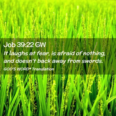 Picture 02 - Job 39:22 GW - It laughs at fear, is afraid of nothing, and - Bible Verse Picture