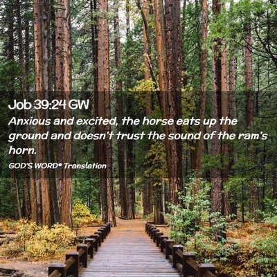 Picture 02 - Job 39:24 GW - Anxious and excited, the horse eats up the ground - Bible Verse Picture