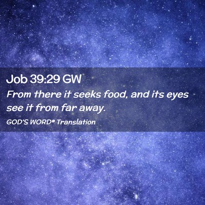 Picture 02 - Job 39:29 GW - From there it seeks food, and its eyes see it - Bible Verse Picture