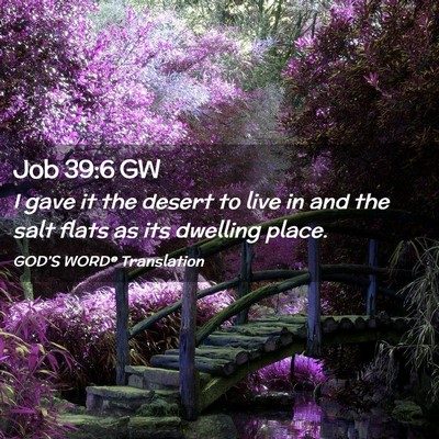 Picture 02 - Job 39:6 GW - I gave it the desert to live in and the salt - Bible Verse Picture