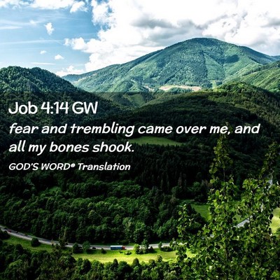 Picture 02 - Job 4:14 GW - fear and trembling came over me, and all my bones - Bible Verse Picture