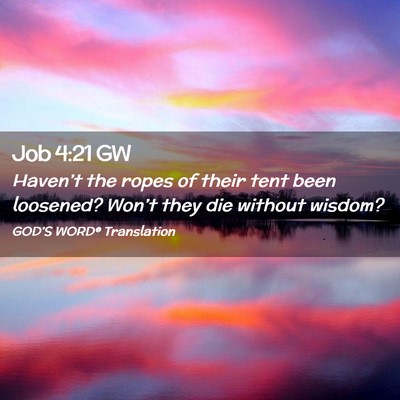 Picture 02 - Job 4:21 GW - Haven’t the ropes of their tent been loosened? - Bible Verse Picture