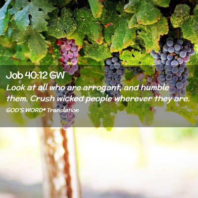 Picture 02 - Job 40:12 GW - Look at all who are arrogant, and humble them. - Bible Verse Picture