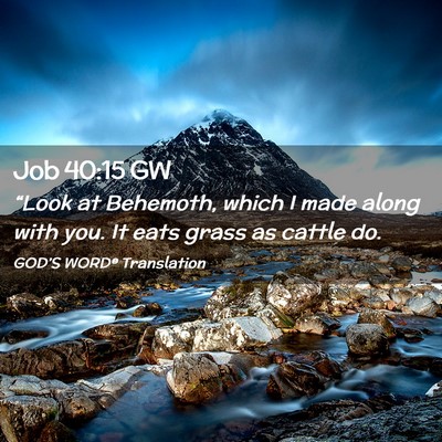 Picture 02 - Job 40:15 GW - “Look at Behemoth, which I made along with you. - Bible Verse Picture