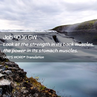 Picture 02 - Job 40:16 GW - Look at the strength in its back muscles, the - Bible Verse Picture