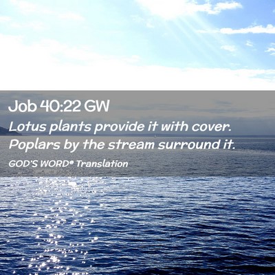 Picture 02 - Job 40:22 GW - Lotus plants provide it with cover. Poplars by - Bible Verse Picture