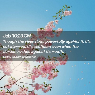 Picture 02 - Job 40:23 GW - Though the river flows powerfully against it, - Bible Verse Picture