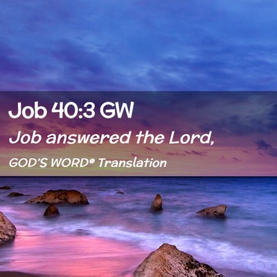 Picture 02 - Job 40:3 GW - Job answered the - Bible Verse Picture