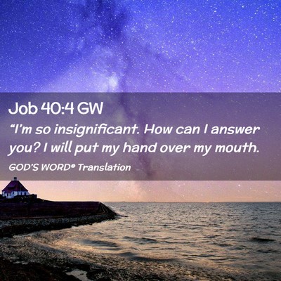Picture 02 - Job 40:4 GW - “I’m so insignificant. How can I answer you? - Bible Verse Picture