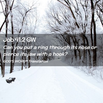 Picture 02 - Job 41:2 GW - Can you put a ring through its nose or pierce its - Bible Verse Picture