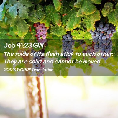 Picture 02 - Job 41:23 GW - The folds of its flesh stick to each other. They - Bible Verse Picture
