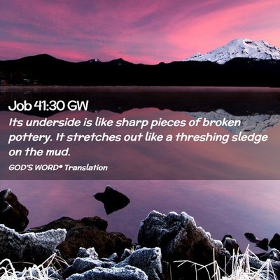 Picture 02 - Job 41:30 GW - Its underside is like sharp pieces of broken - Bible Verse Picture