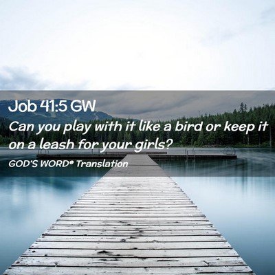 Picture 02 - Job 41:5 GW - Can you play with it like a bird or keep it on a - Bible Verse Picture
