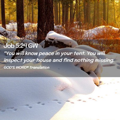Picture 02 - Job 5:24 GW - “You will know peace in your tent. You will - Bible Verse Picture