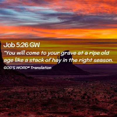 Picture 02 - Job 5:26 GW - “You will come to your grave at a ripe old age - Bible Verse Picture