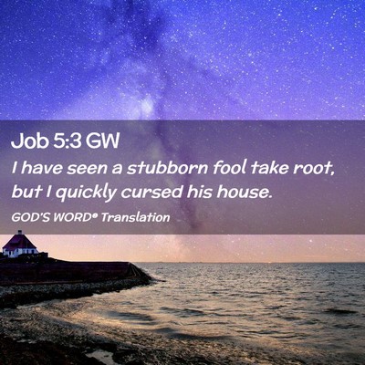 Picture 02 - Job 5:3 GW - I have seen a stubborn fool take root, but I - Bible Verse Picture