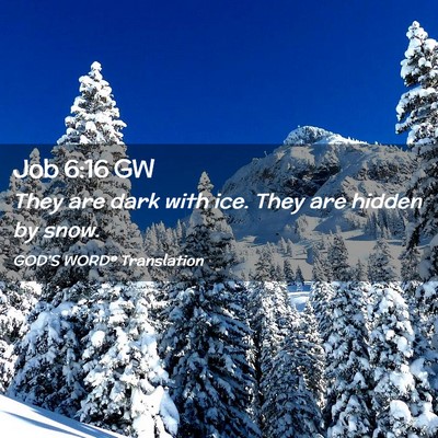 Picture 02 - Job 6:16 GW - They are dark with ice. They are hidden by - Bible Verse Picture