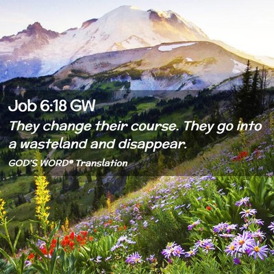 Picture 02 - Job 6:18 GW - They change their course. They go into a - Bible Verse Picture