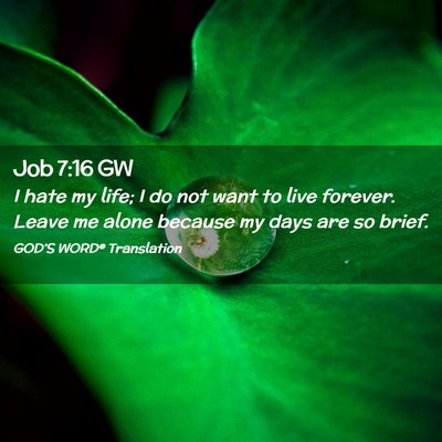 Picture 02 - Job 7:16 GW - I hate my life; I do not want to live forever. - Bible Verse Picture