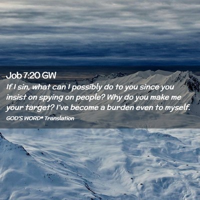 Picture 02 - Job 7:20 GW - If I sin, what can I possibly do to you since you - Bible Verse Picture