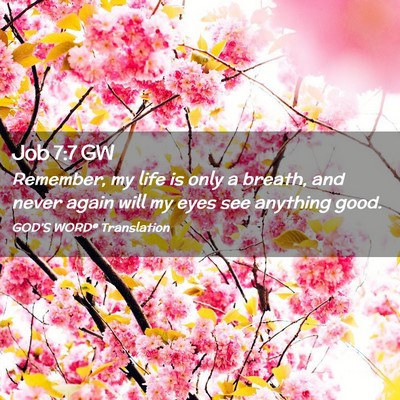 Picture 02 - Job 7:7 GW - Remember, my life is only a breath, and never - Bible Verse Picture