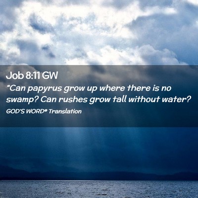Picture 02 - Job 8:11 GW - “Can papyrus grow up where there is no swamp? - Bible Verse Picture