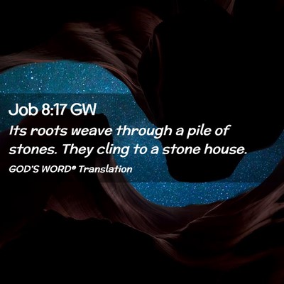 Picture 02 - Job 8:17 GW - Its roots weave through a pile of stones. They - Bible Verse Picture