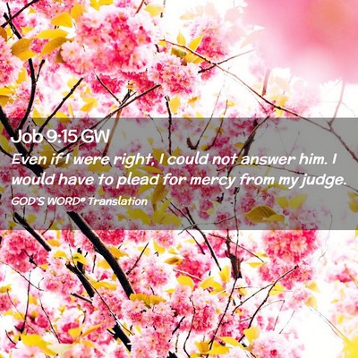 Picture 02 - Job 9:15 GW - Even if I were right, I could not answer him. I - Bible Verse Picture