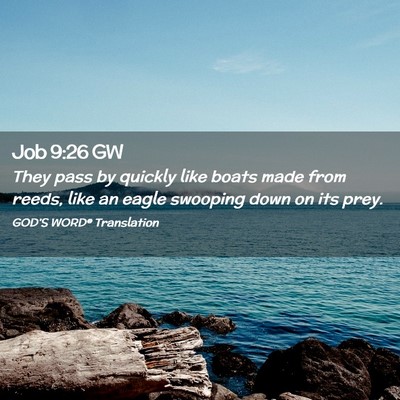 Picture 02 - Job 9:26 GW - They pass by quickly like boats made from reeds, - Bible Verse Picture
