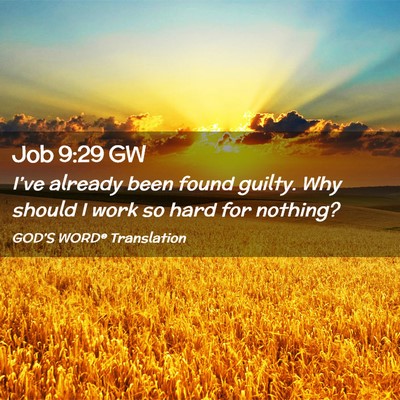 Picture 02 - Job 9:29 GW - I’ve already been found guilty. Why should I - Bible Verse Picture
