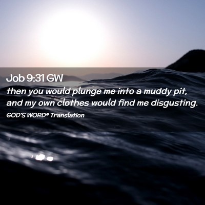 Picture 02 - Job 9:31 GW - then you would plunge me into a muddy pit, and my - Bible Verse Picture