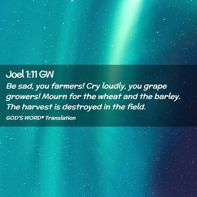 Picture 02 - Joel 1:11 GW - Be sad, you farmers! Cry loudly, you grape - Bible Verse Picture
