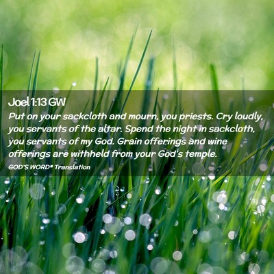 Picture 02 - Joel 1:13 GW - Put on your sackcloth and mourn, you priests. Cry - Bible Verse Picture