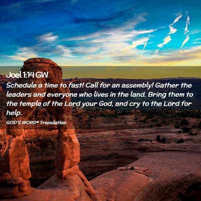 Picture 02 - Joel 1:14 GW - Schedule a time to fast! Call for an assembly! - Bible Verse Picture