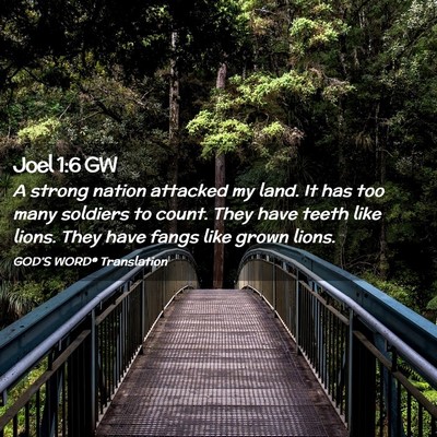 Picture 02 - Joel 1:6 GW - A strong nation attacked my land. It has too many - Bible Verse Picture