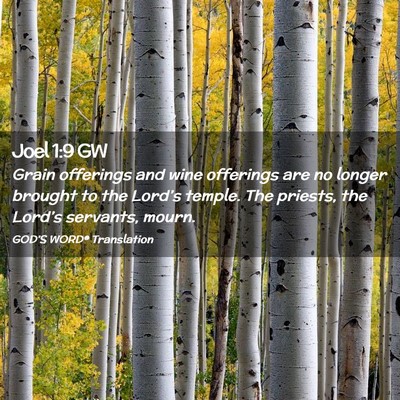 Picture 02 - Joel 1:9 GW - Grain offerings and wine offerings are no longer - Bible Verse Picture