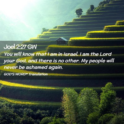 Picture 02 - Joel 2:27 GW - You will know that I am in Israel. I am the Lord - Bible Verse Picture
