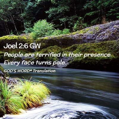 Picture 02 - Joel 2:6 GW - People are terrified in their presence. Every - Bible Verse Picture
