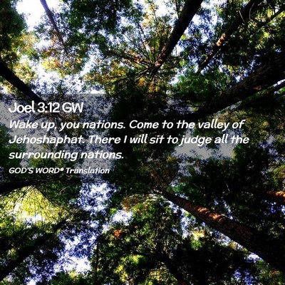 Picture 02 - Joel 3:12 GW - Wake up, you nations. Come to the valley of - Bible Verse Picture