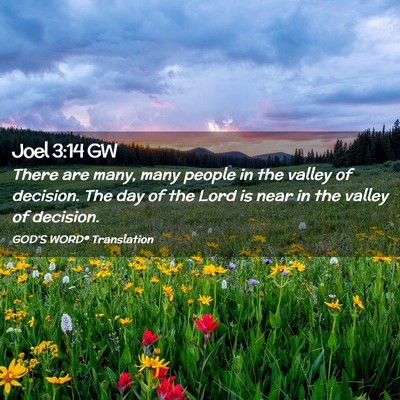Picture 02 - Joel 3:14 GW - There are many, many people in the valley of - Bible Verse Picture