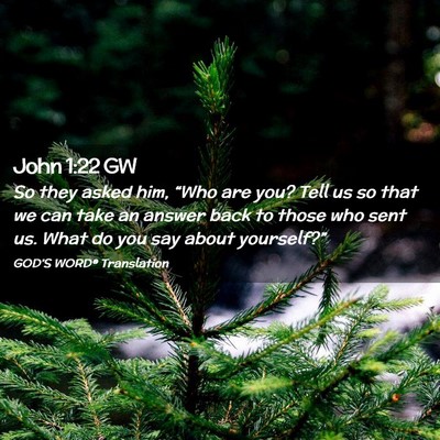 Picture 02 - John 1:22 GW - So they asked him, “Who are you? Tell us so - Bible Verse Picture