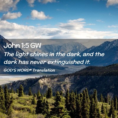 Picture 02 - John 1:5 GW - The light shines in the dark, and the dark has - Bible Verse Picture