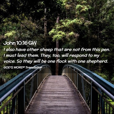 Picture 02 - John 10:16 GW - I also have other sheep that are not from this - Bible Verse Picture