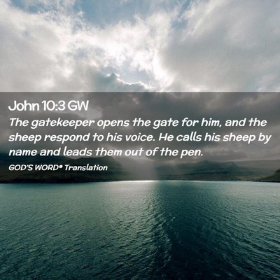 Picture 02 - John 10:3 GW - The gatekeeper opens the gate for him, and the - Bible Verse Picture