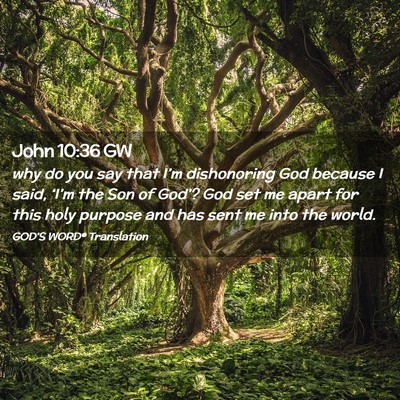 Picture 02 - John 10:36 GW - why do you say that I’m dishonoring God because - Bible Verse Picture