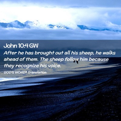 Picture 02 - John 10:4 GW - After he has brought out all his sheep, he walks - Bible Verse Picture