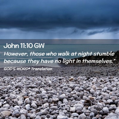 Picture 02 - John 11:10 GW - However, those who walk at night stumble because - Bible Verse Picture