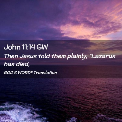 Picture 02 - John 11:14 GW - Then Jesus told them plainly, “Lazarus has - Bible Verse Picture